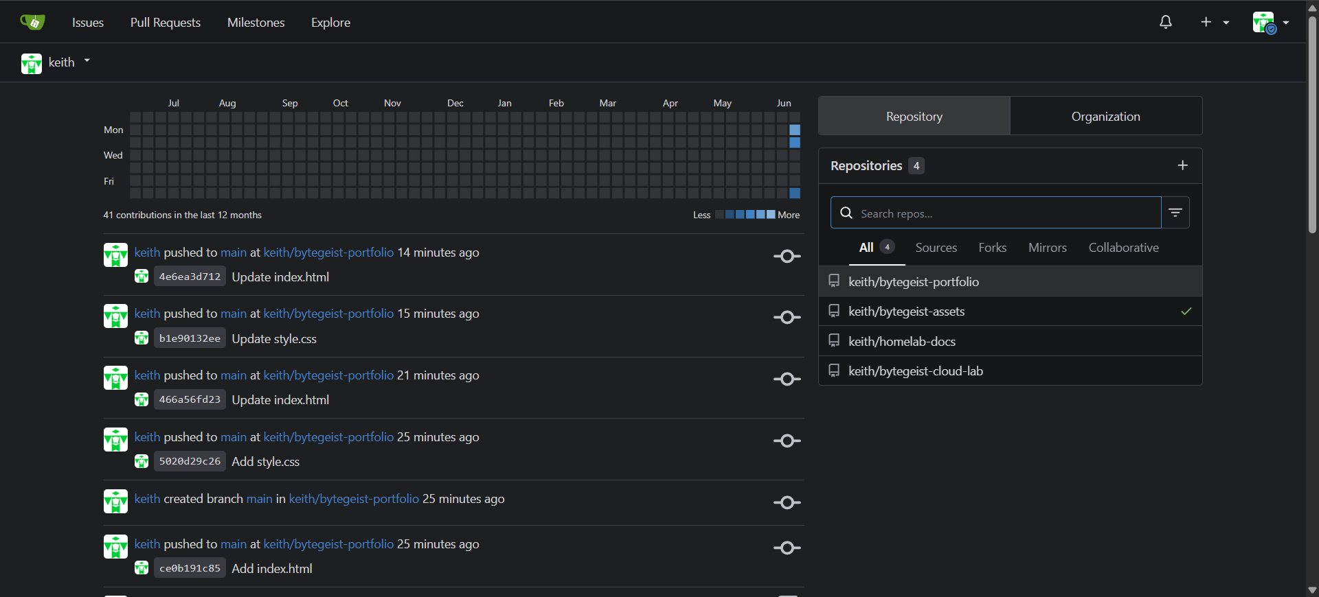 Gitea dashboard